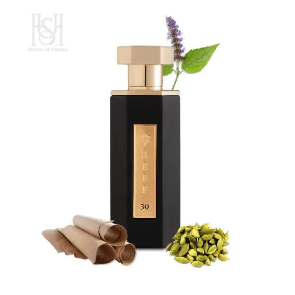 Reef 30 100ml EDP For Him by Reef Perfumes